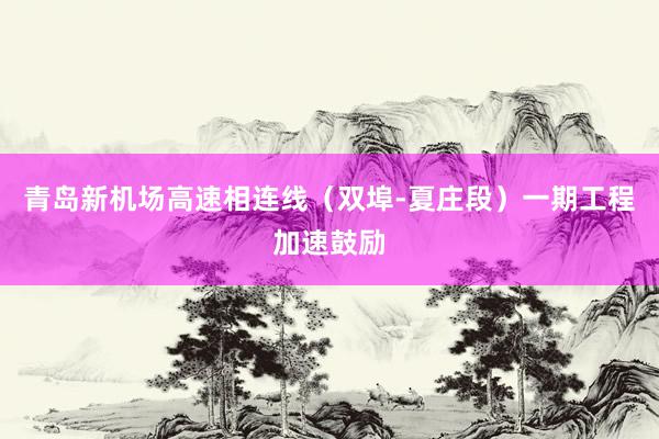 青岛新机场高速相连线（双埠-夏庄段）一期工程加速鼓励