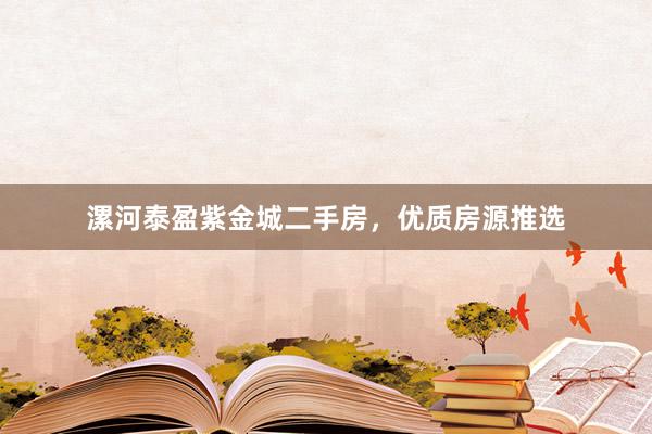 漯河泰盈紫金城二手房，优质房源推选